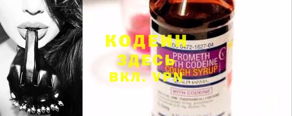 2c-b Горно-Алтайск