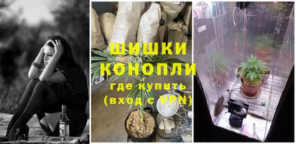 дурь Горняк