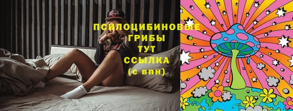 дурь Горняк
