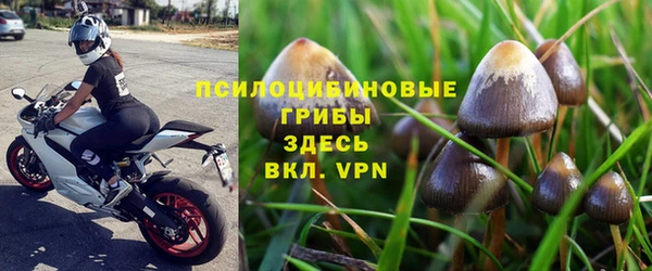 2c-b Горно-Алтайск